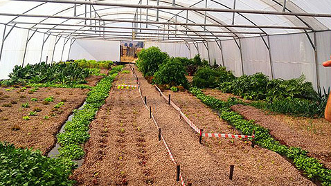 Inside Agriculture’s E2.02bn 2026/27 budget 